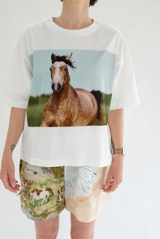 Beklina Anntian Classic T-Shirt Brown Horse Print