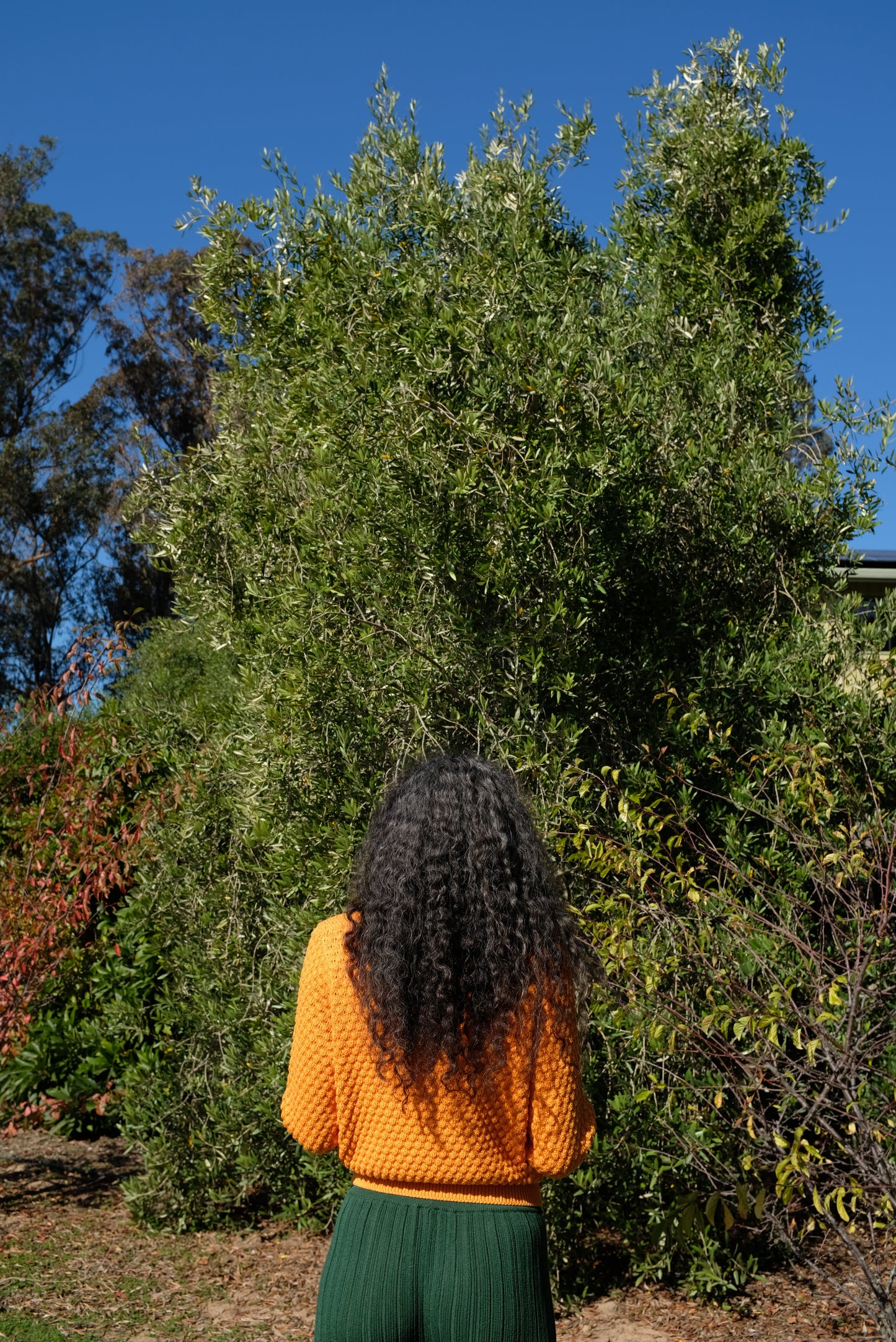 Beklina Mar Monte Sweater Persimmon