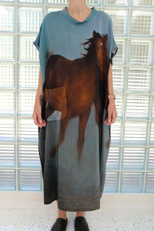 Anntian Overdress Print H