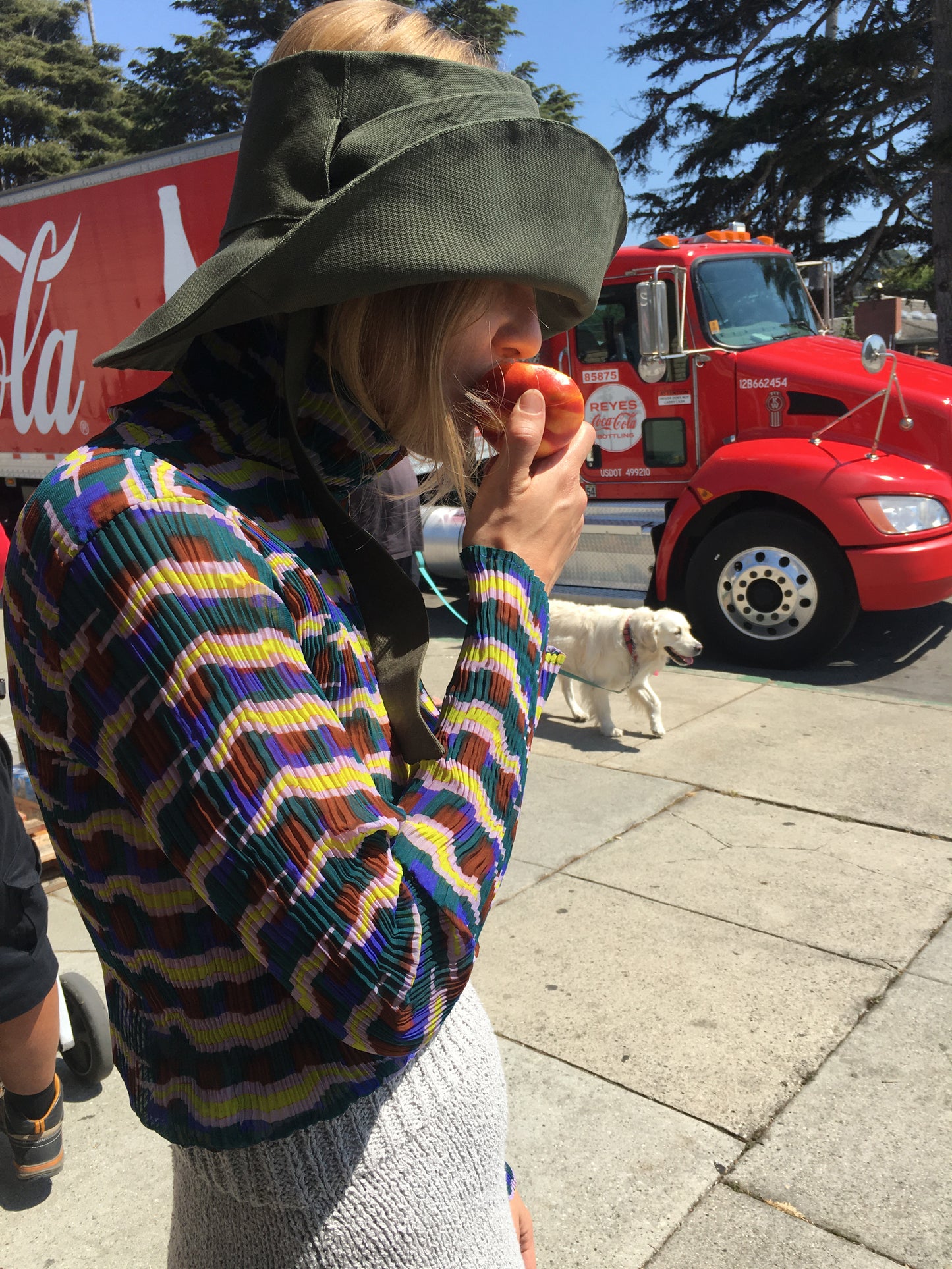 Beklina Lavoro Hat Pine