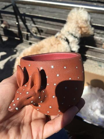 Interview With Daniela Of La Chuparosa