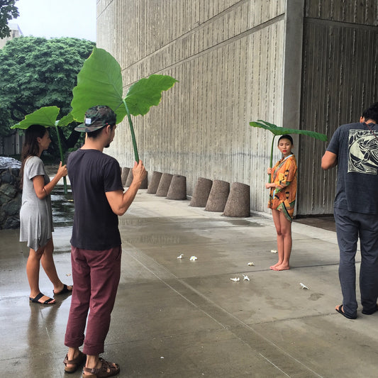 Interview Tsia Carson From Language Of The Birds