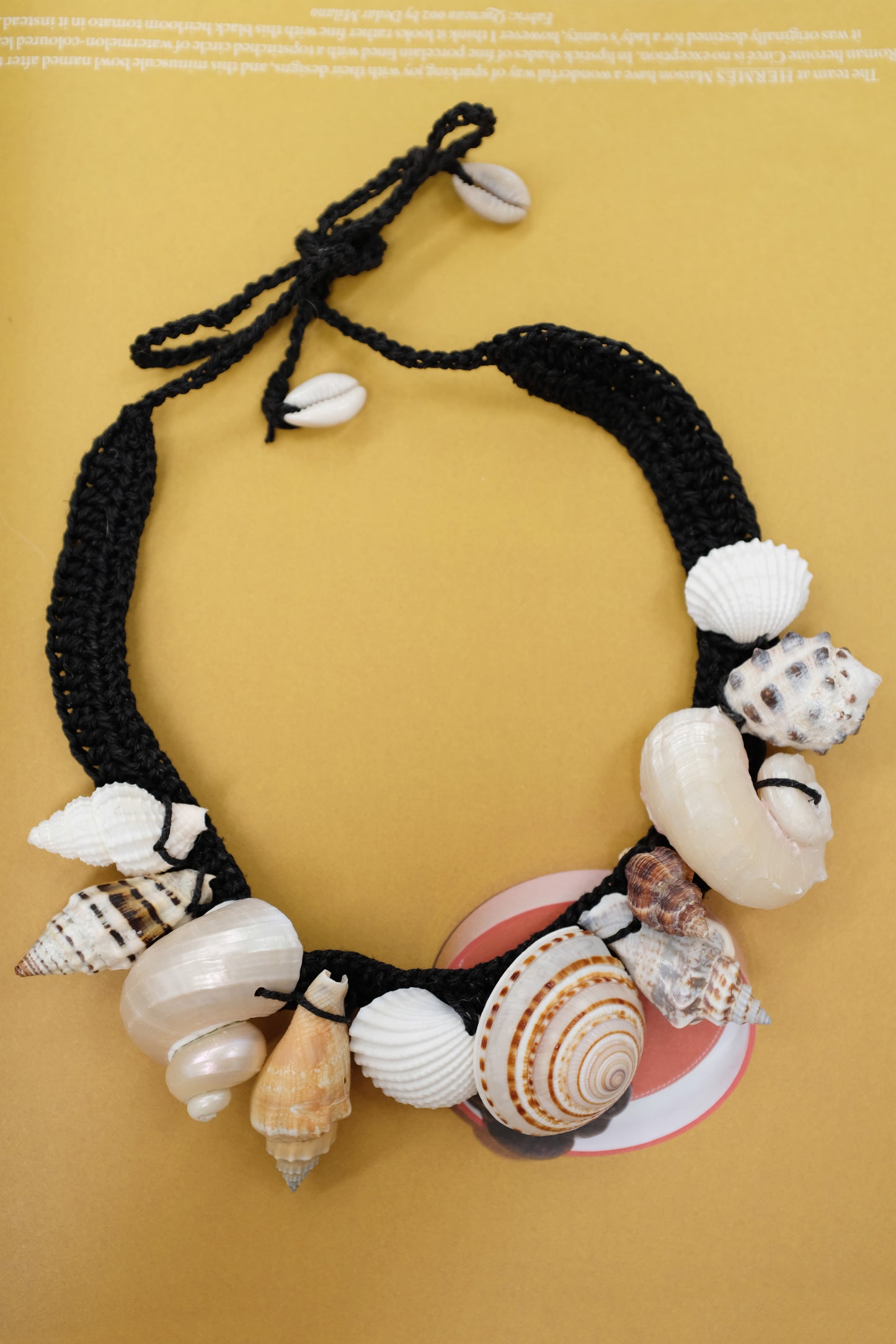 Necklace with seashells on a black cord against a beige background. Beklina Atlantis Shell Necklace