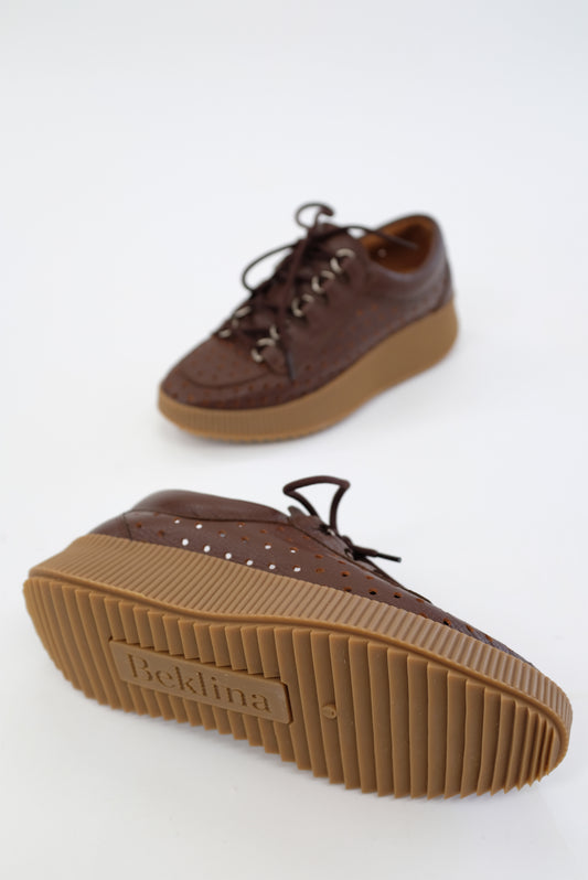 Beklina Pensionata Perforated Lace Up Castagna