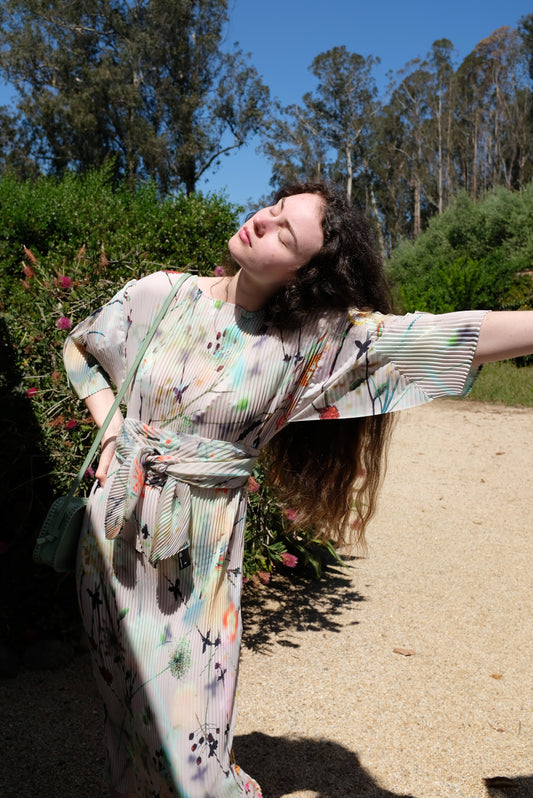 Julia Heuer Leila Pleated Dress Frances