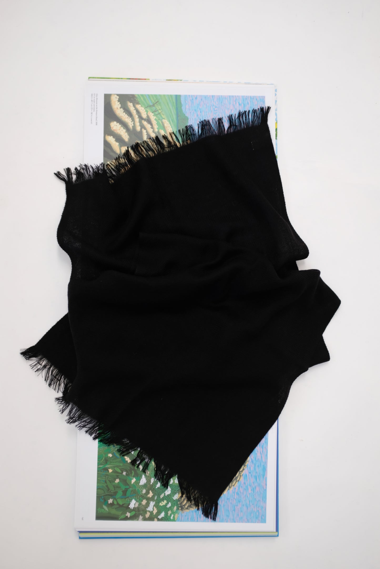 Beklina Cashmere Petite Scarves