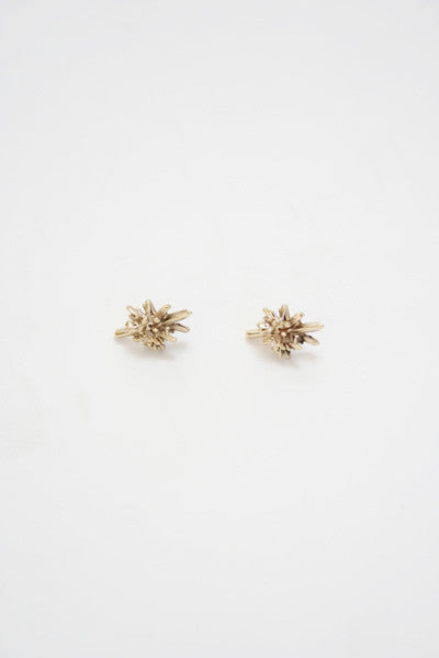 Bronze Crystal Stud Earrings