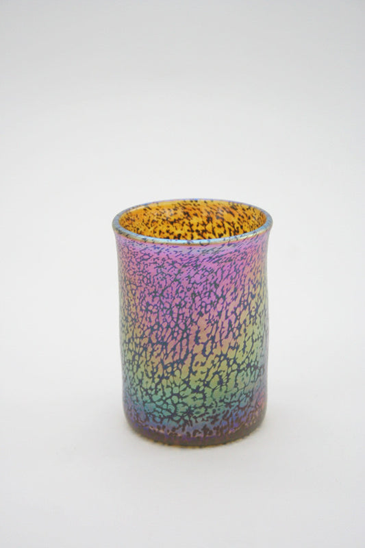 Handblown Iridescent Tumbler